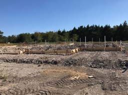 Initial Pipes are In