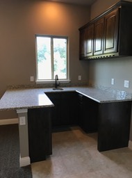 Media Room Wet Bar